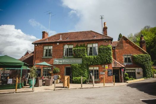 The Stag on the River