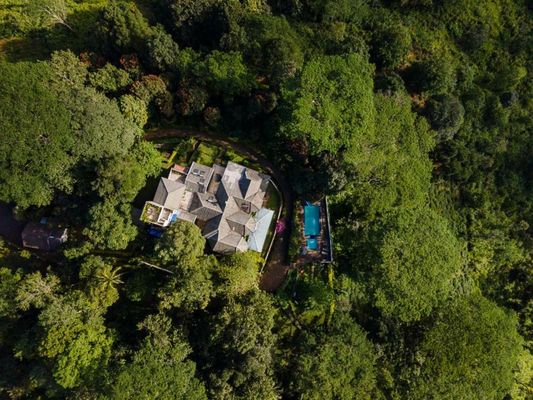 Ashburnham Estate-98 Acre Tea Estate with Private Waterfalls