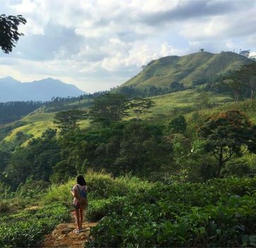 Ashburnham Estate-98 Acre Tea Estate with Private Waterfalls