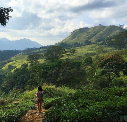 Ashburnham Estate-98 Acre Tea Estate with Private Waterfalls