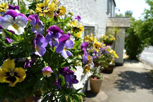 The Tytherleigh Arms