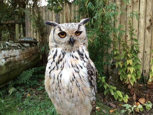 Lower Barns Boutique B&B