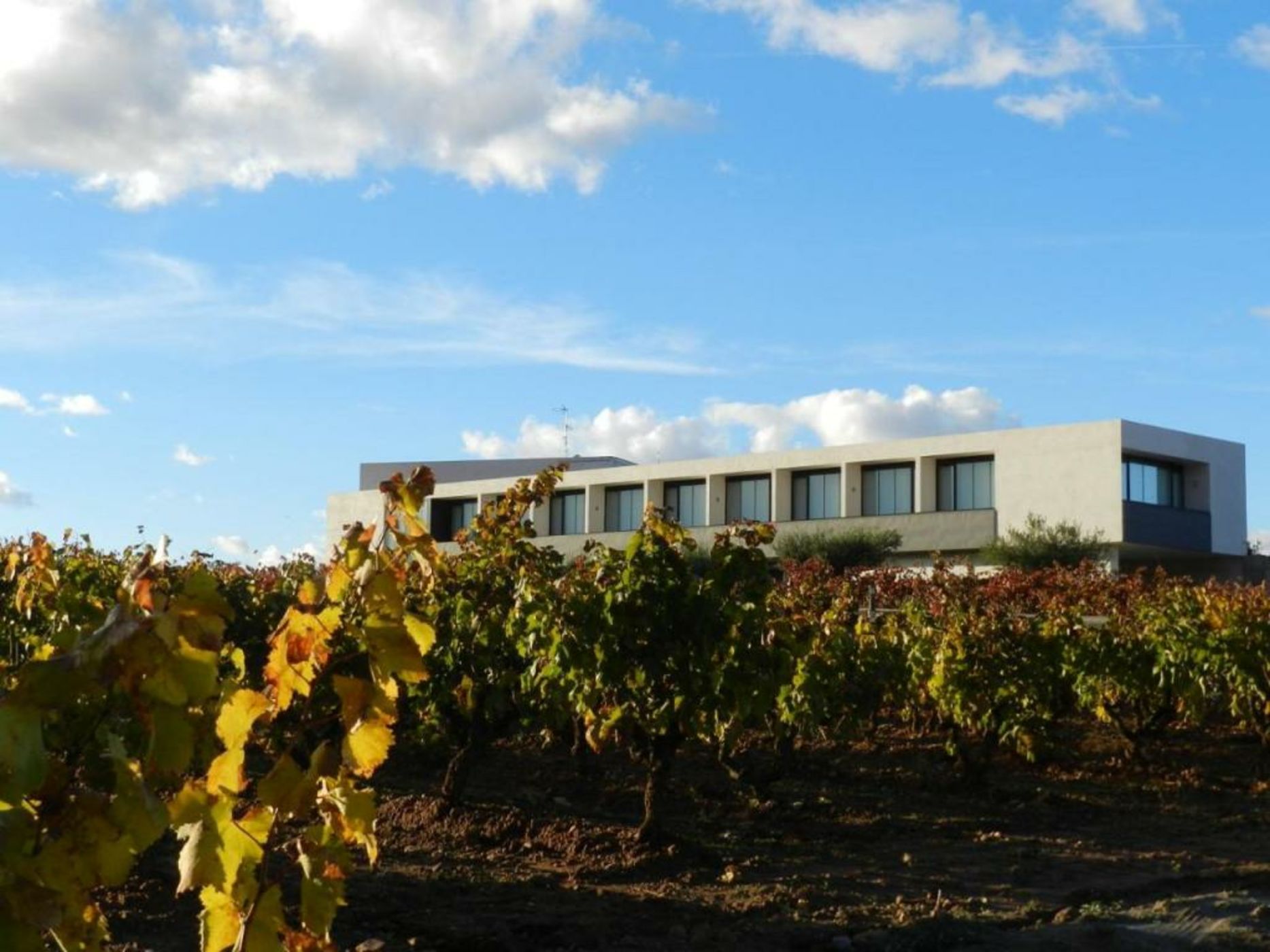 Hotel-Bodega Finca de Los Arandinos
