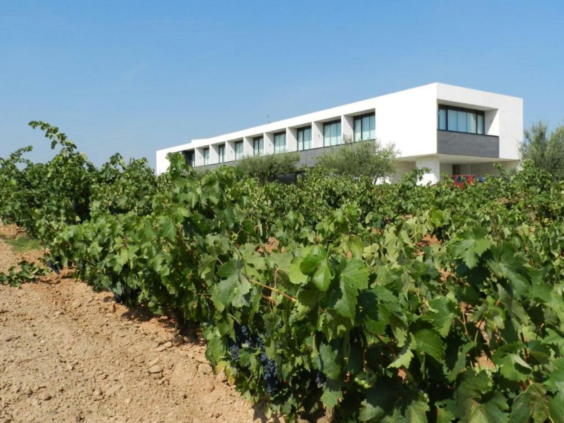 Hotel-Bodega Finca de Los Arandinos