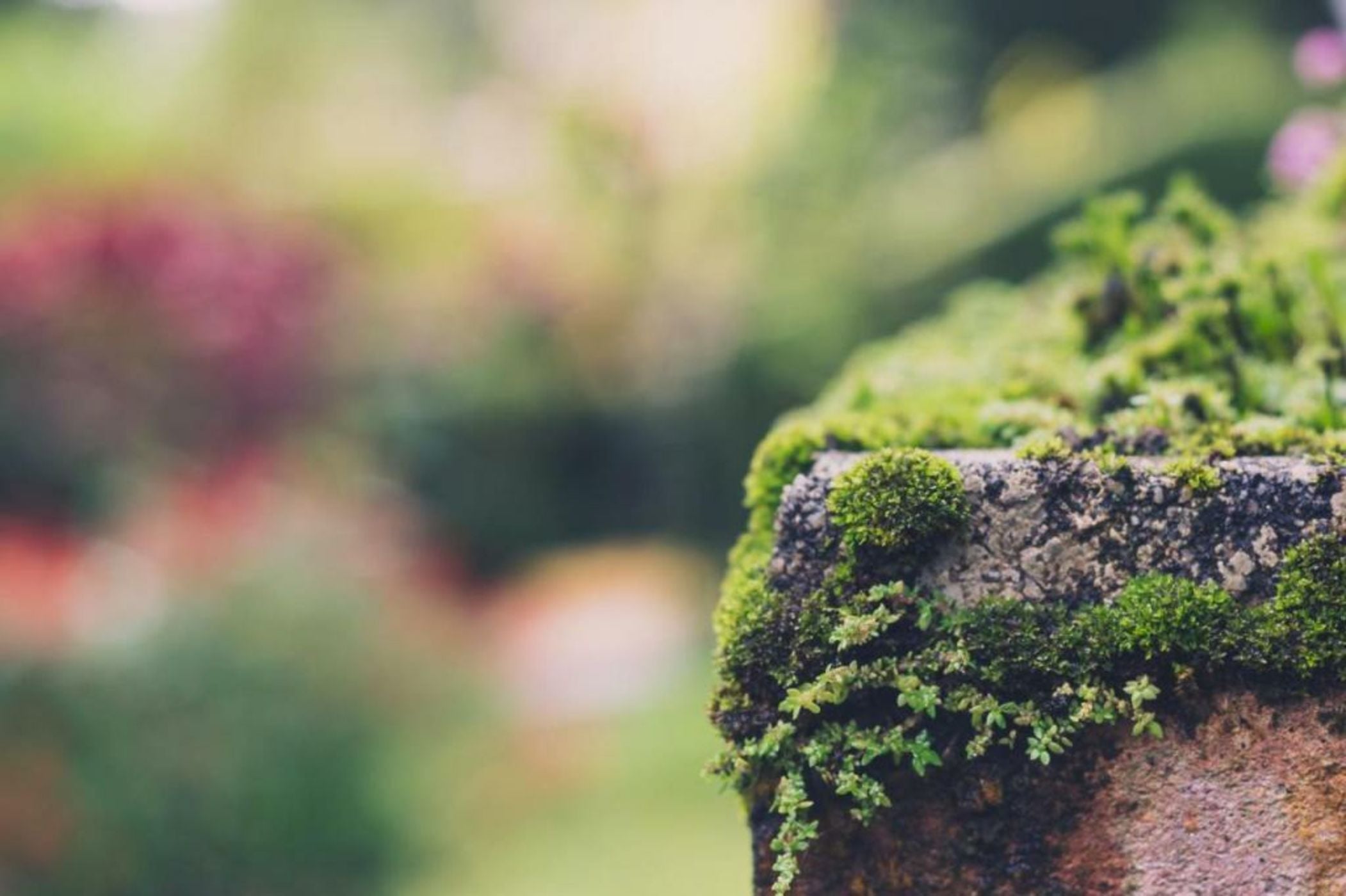 The Smokehouse Hotel & Restaurant Cameron Highlands