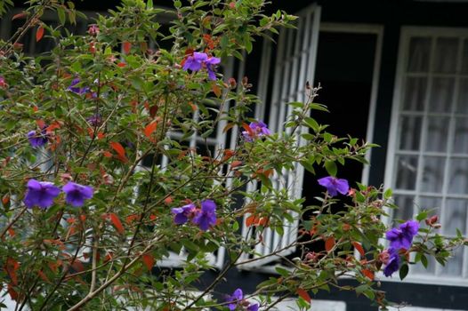 The Smokehouse Hotel & Restaurant Cameron Highlands