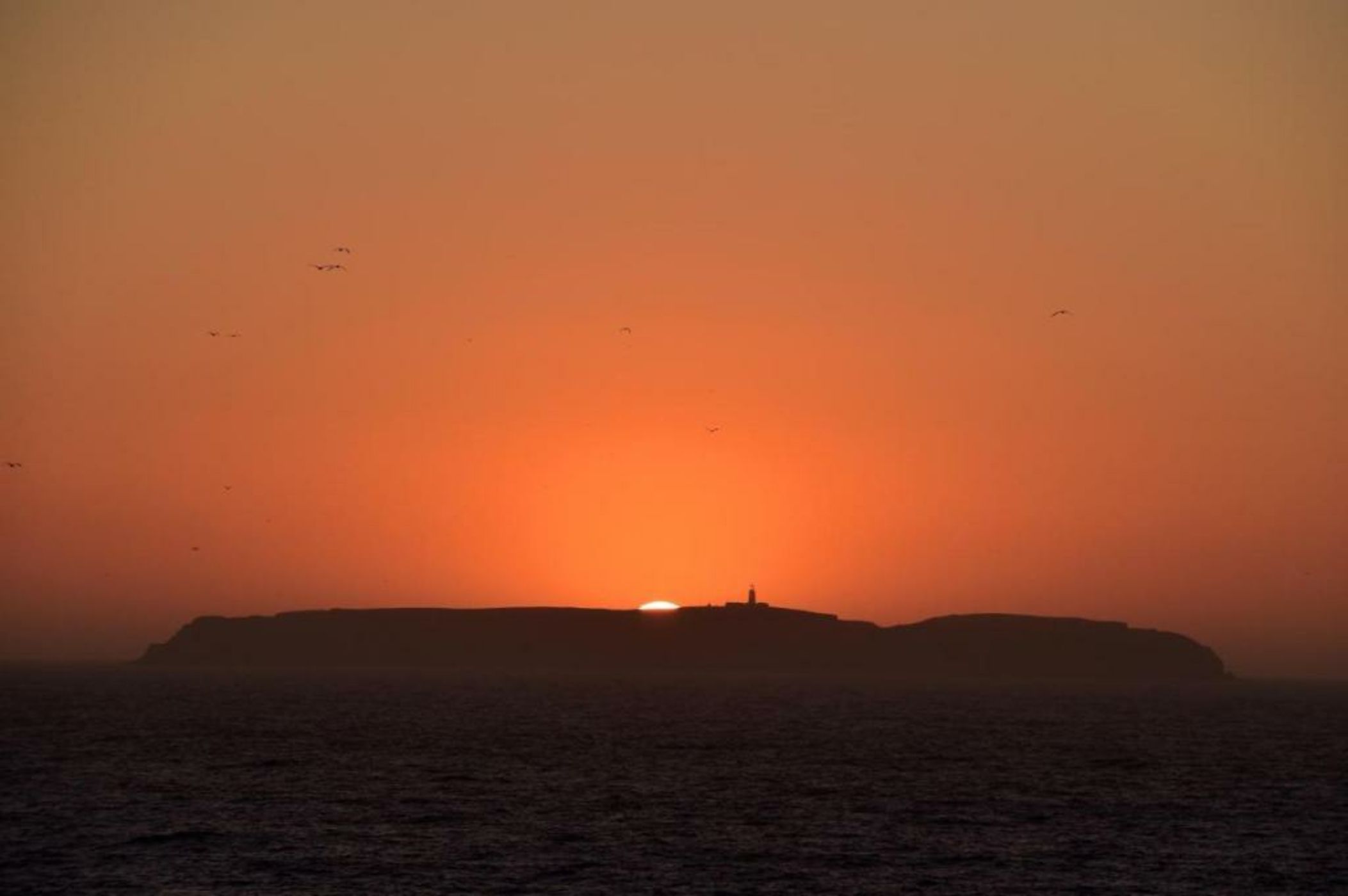 Mercearia D'Alegria Boutique B&B