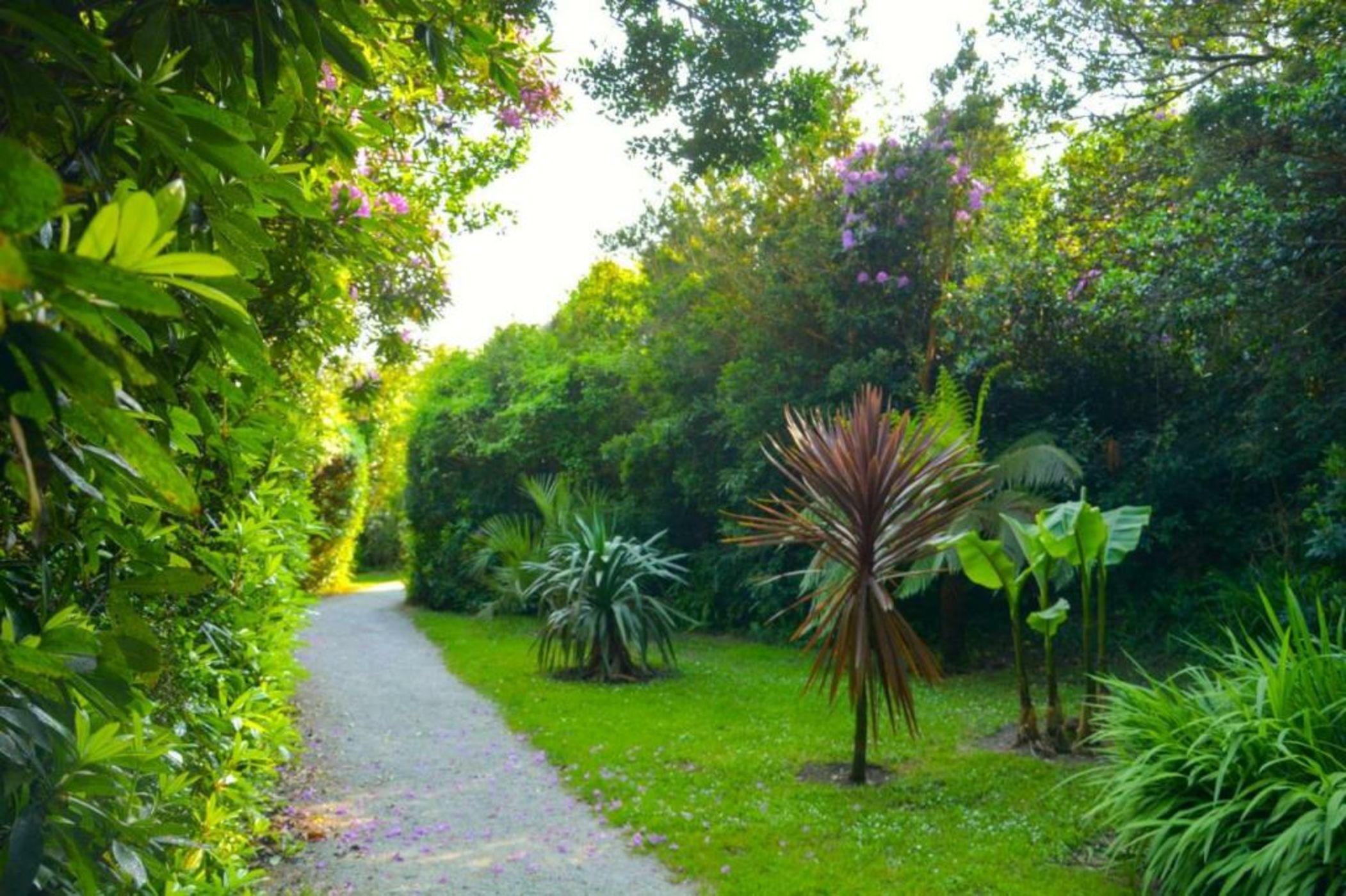 Parknasilla Resort & Spa