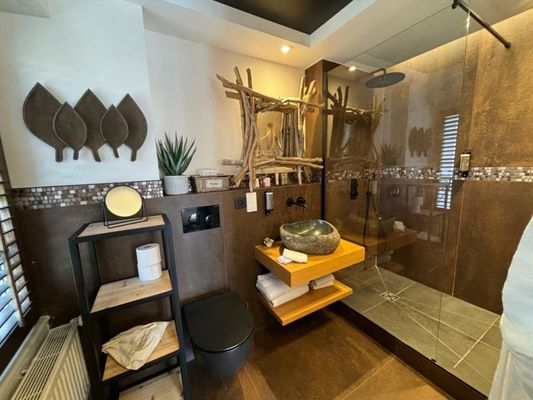 Château des Avenieres