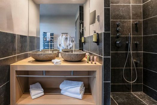 Château des Avenieres