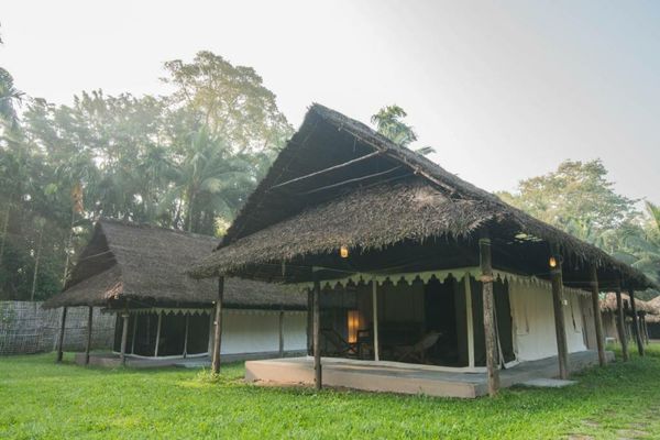 The Barefoot At Havelock