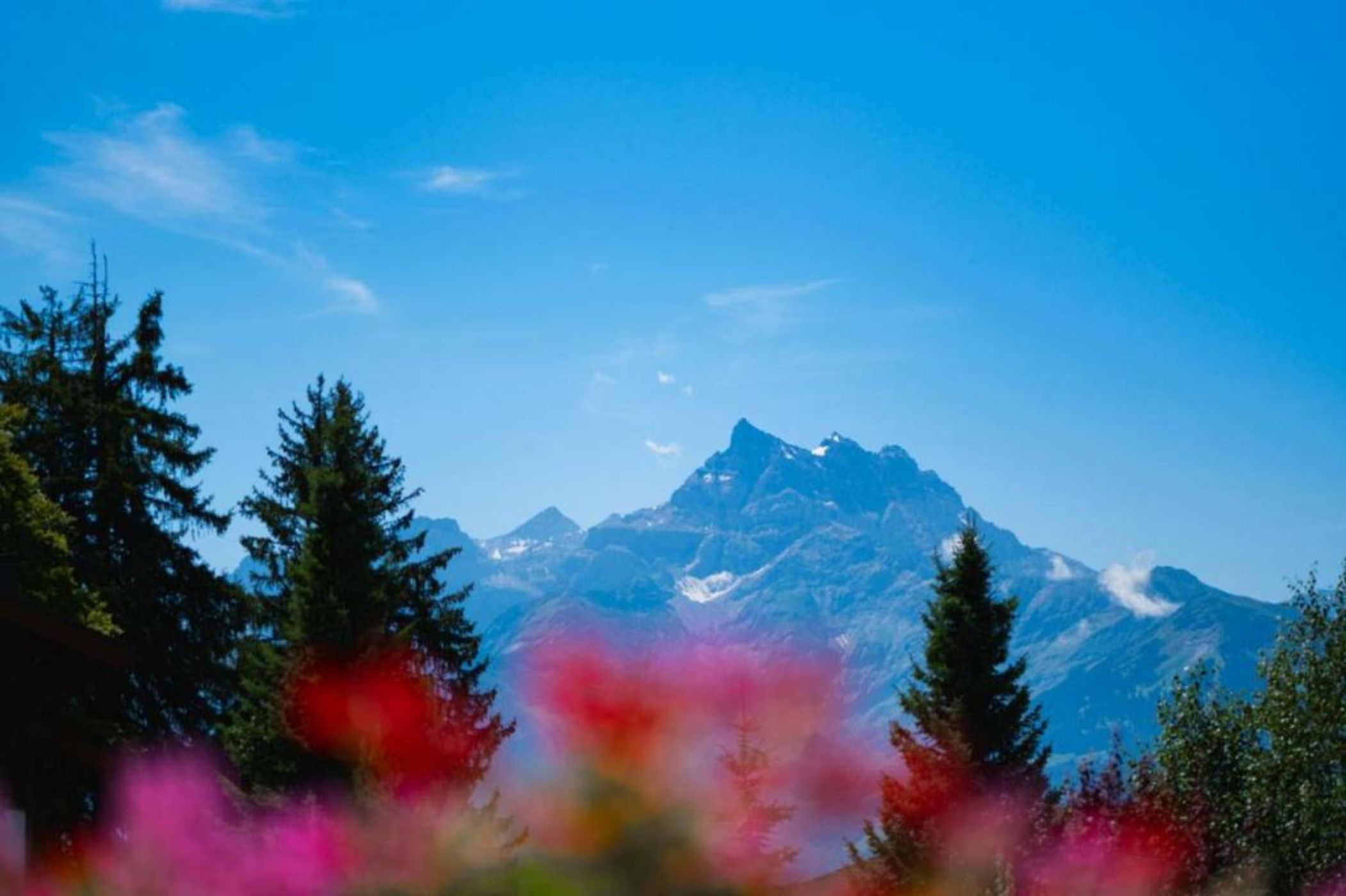 Chalet RoyAlp Hôtel & Spa