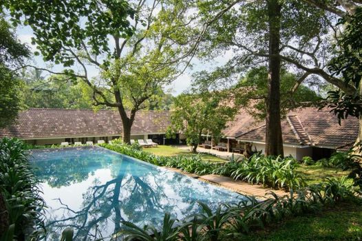 EKHO Sigiriya - 700 meters to Sigiriya Rock