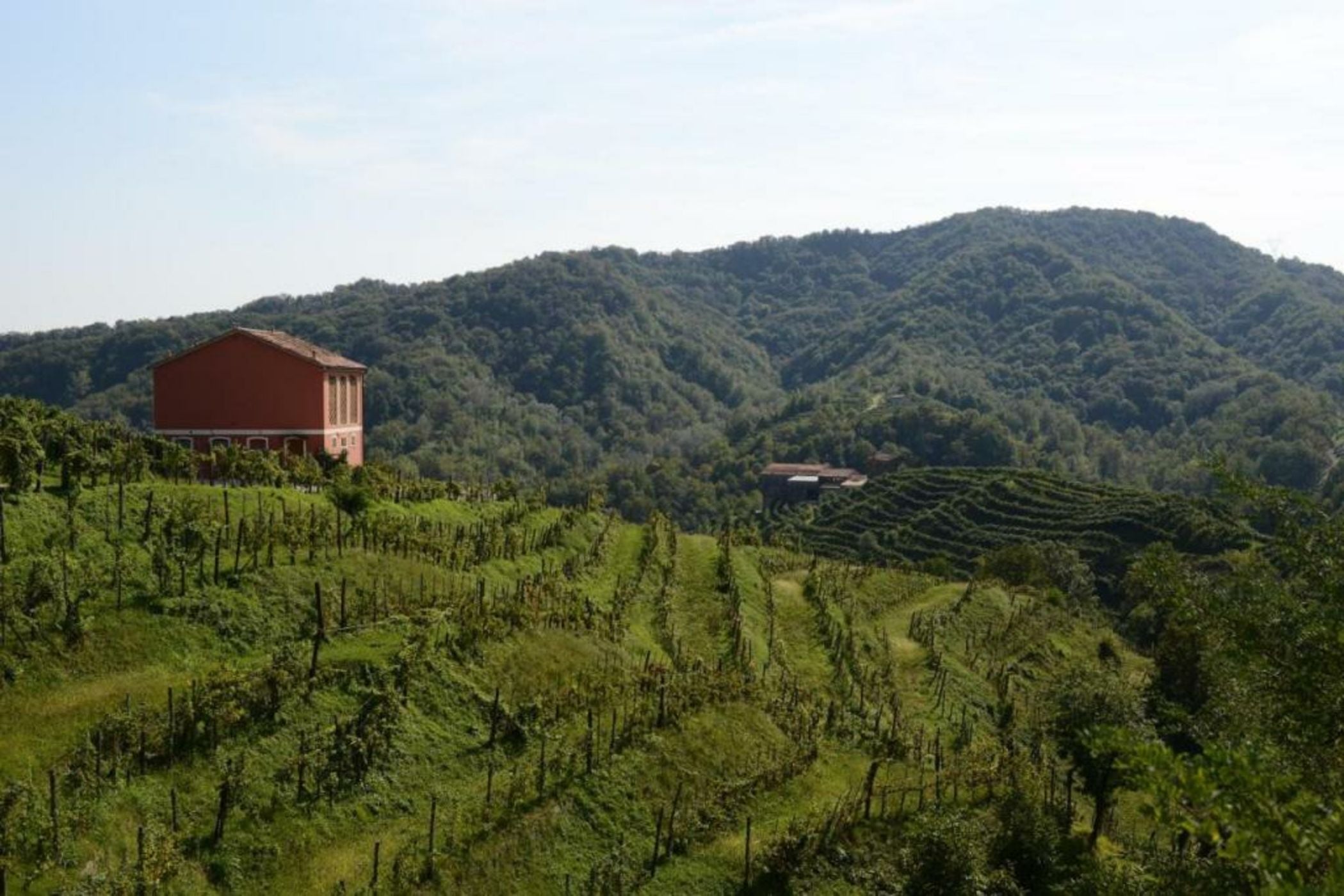 Duca Di Dolle Agriturismo