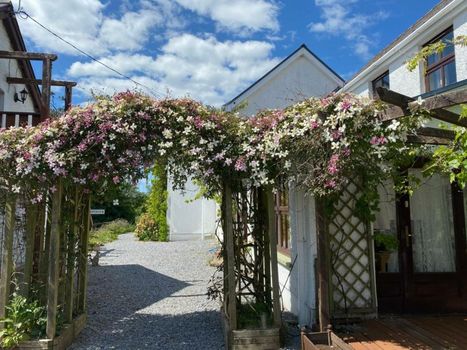 Jabajak Vineyard Restaurant & Rooms