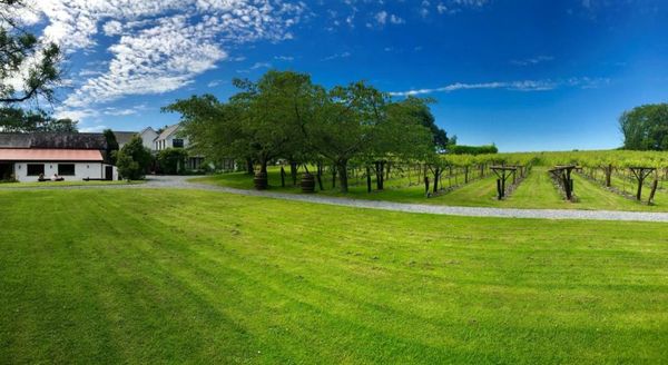 Jabajak Vineyard Restaurant & Rooms