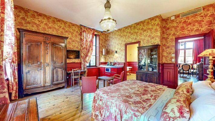 Demeure Saint Louis Historic manor, City 700m, free parking,A C,Clim,WIFI, city view, Garden