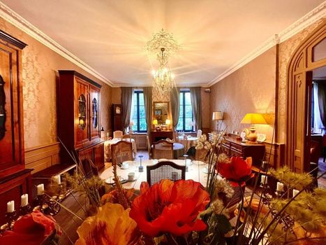Demeure Saint Louis Historic manor, City 700m, free parking,A C,Clim,WIFI, city view, Garden