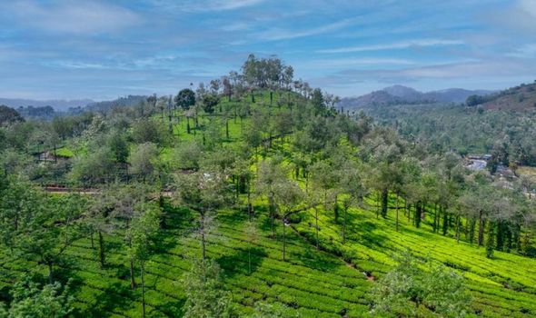 Amritara Shalimar Spice Garden Resort & Spa