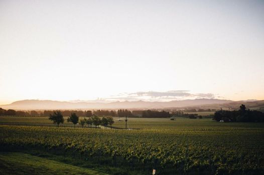 Black Estate B & B
