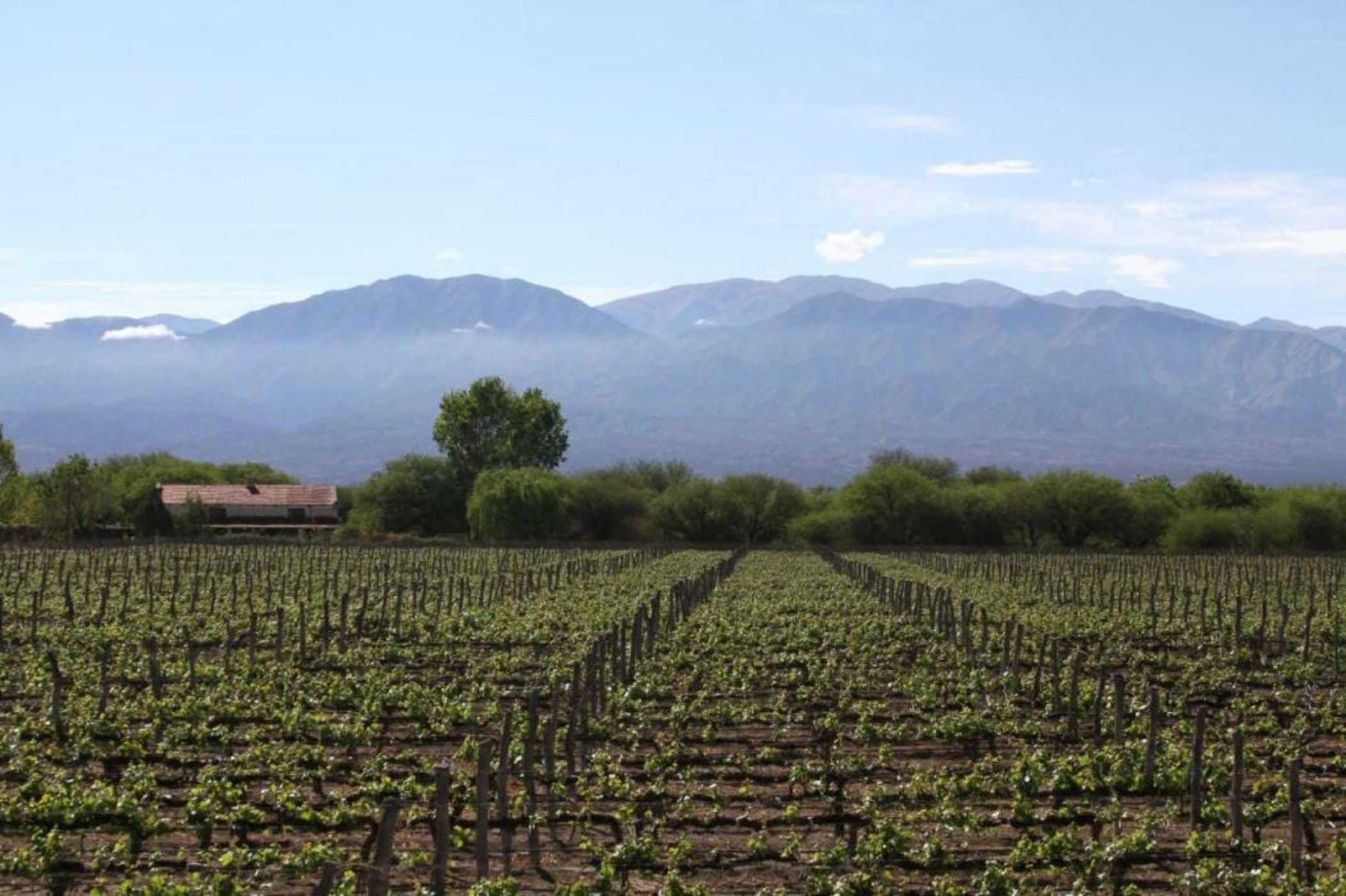 Patios de Cafayate - Wine Hotel & Restaurant