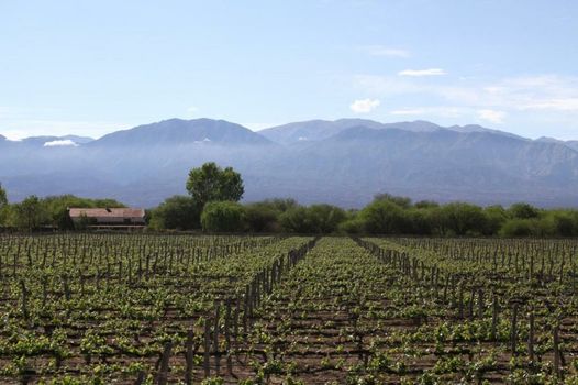 Patios de Cafayate - Wine Hotel & Restaurant