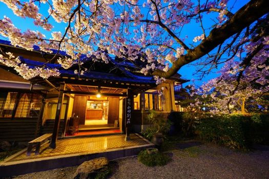 Yamada Bessou くつろぎの温泉宿 山田別荘