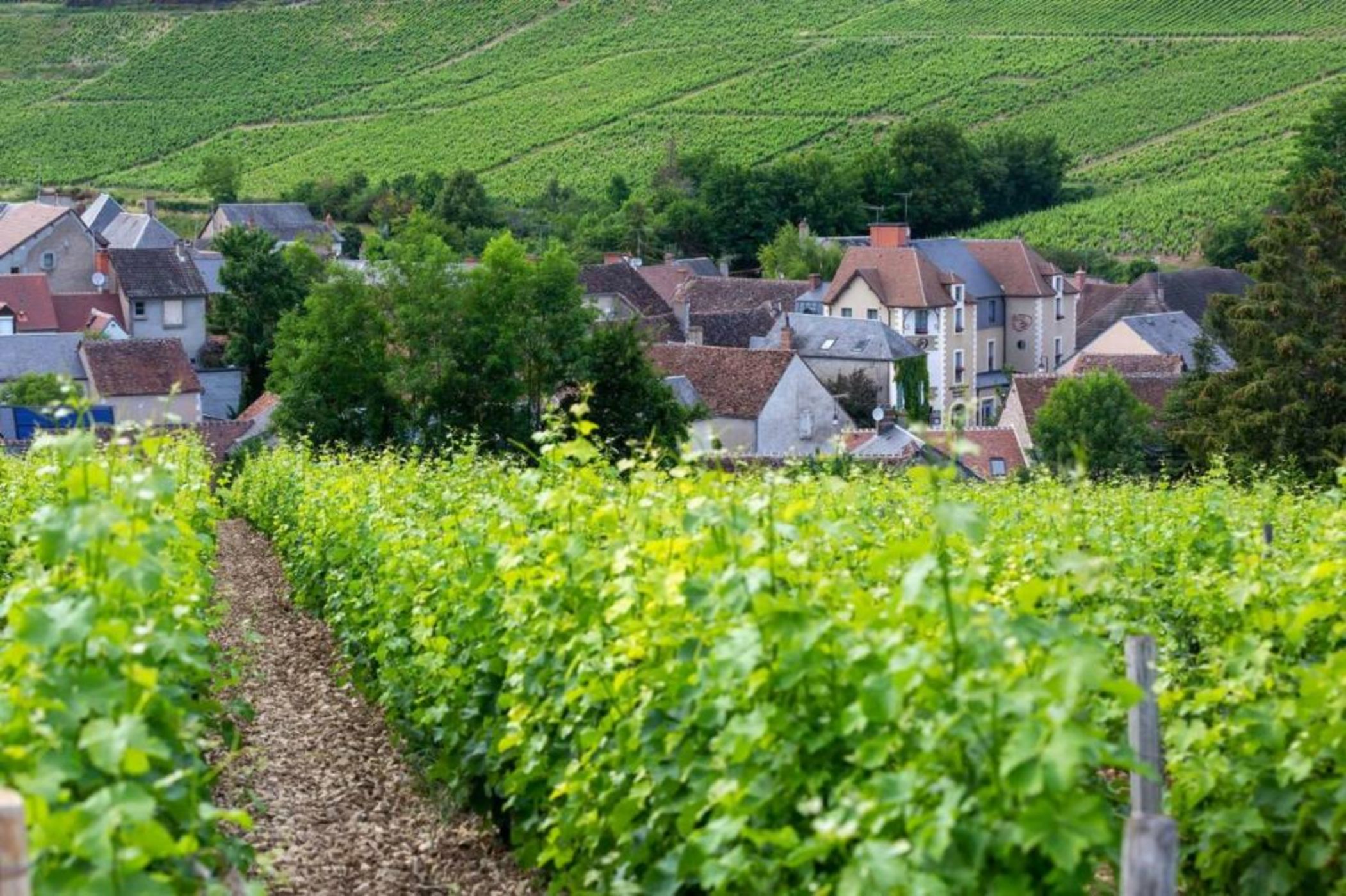 Hôtel Restaurant Famille Bourgeois 
