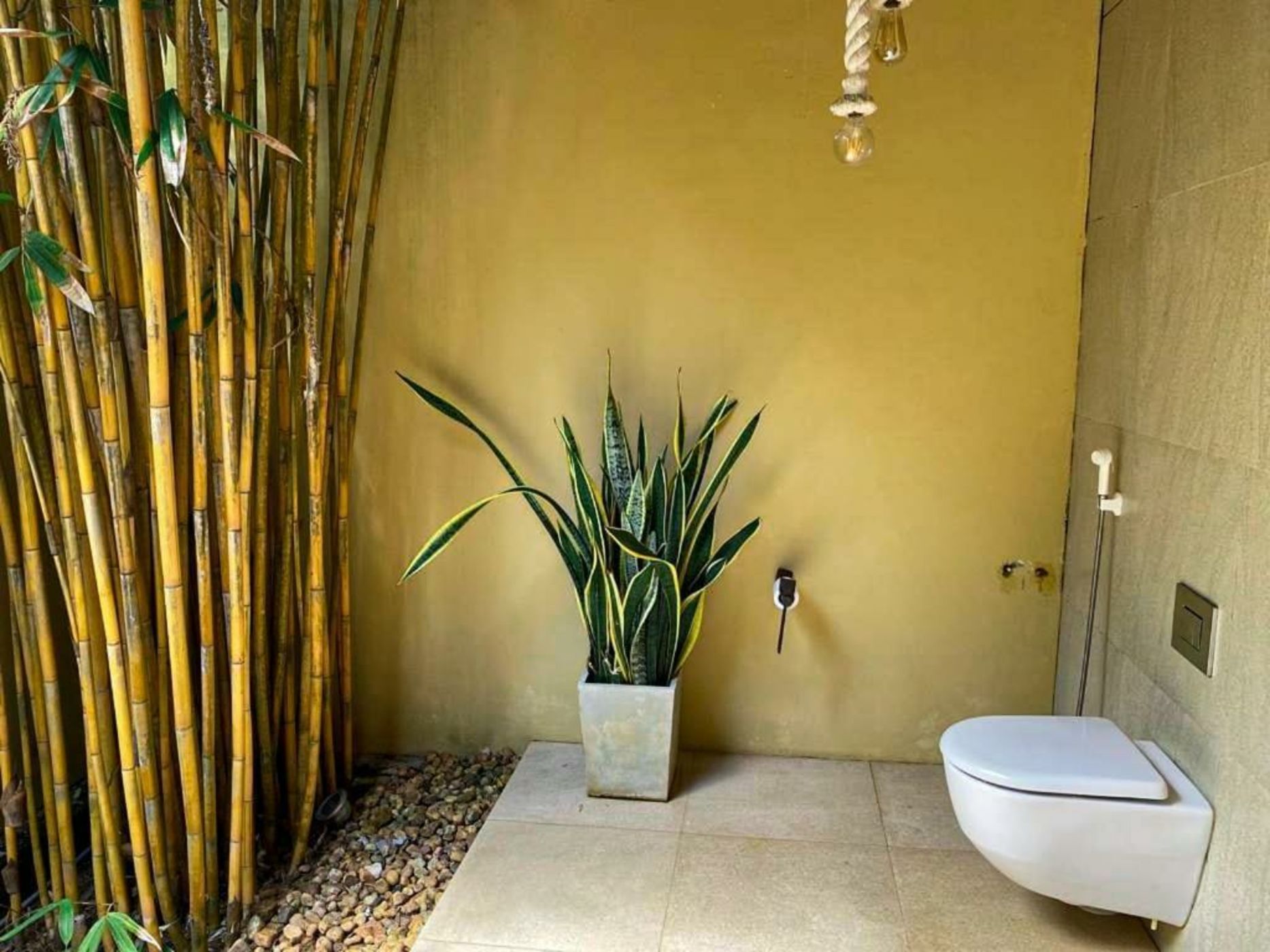 Mangrove Beach Chalets