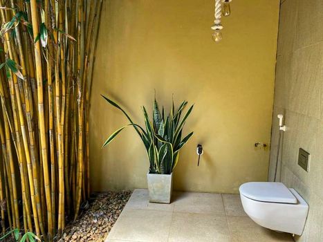 Mangrove Beach Chalets