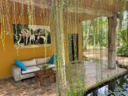 Mangrove Beach Chalets