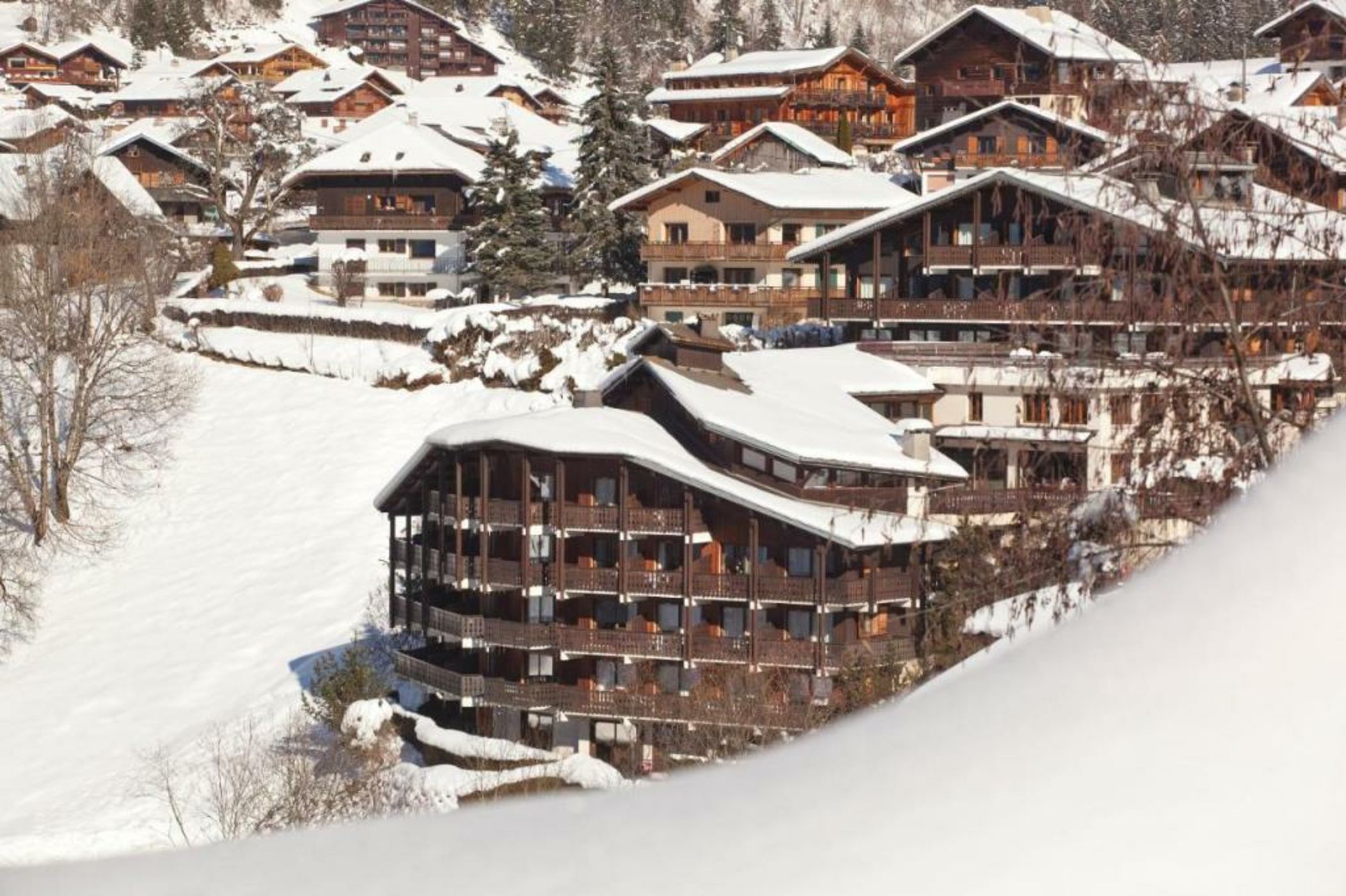 Hotel le Petit Dru