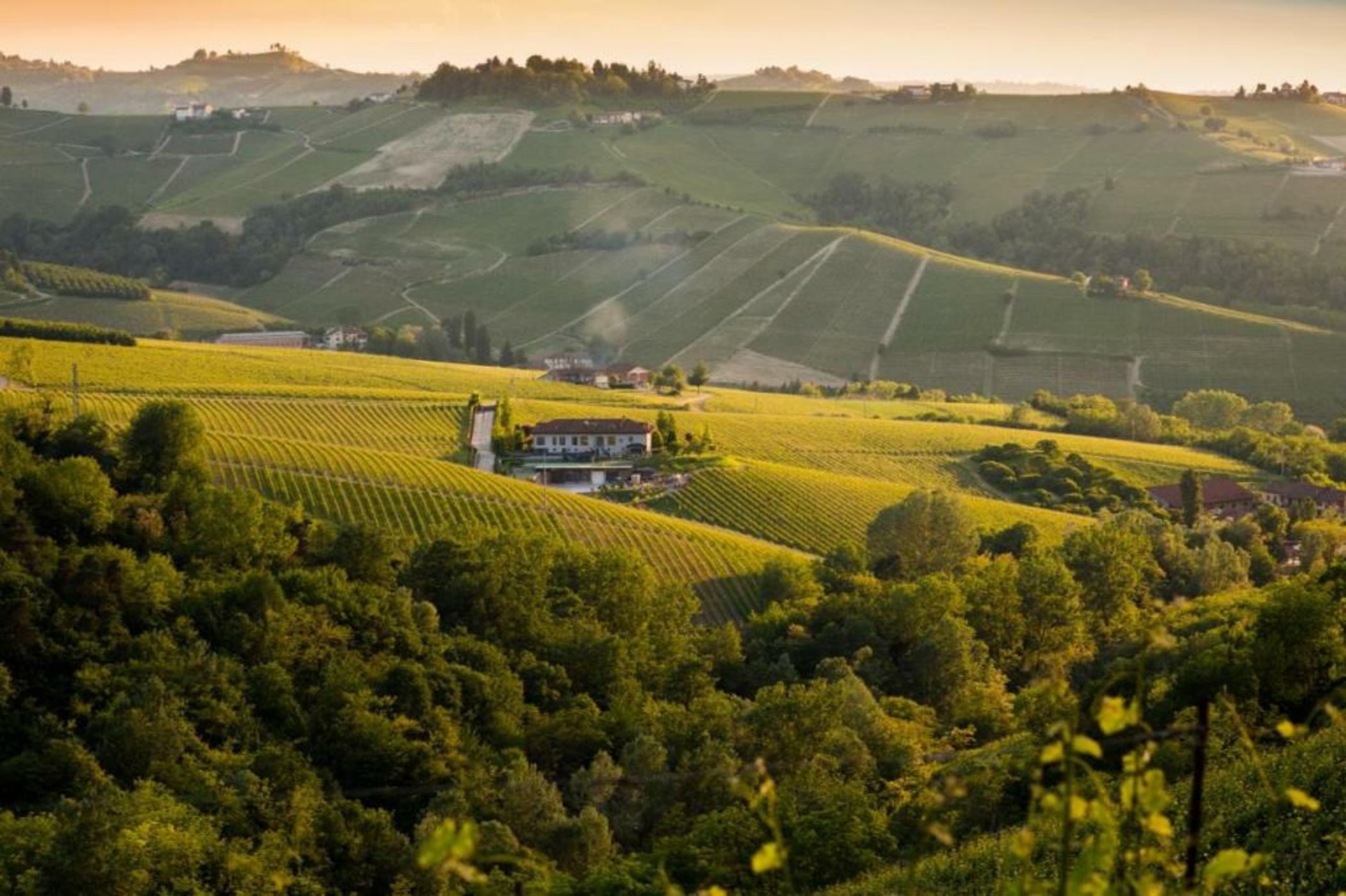 Tenuta Baràc