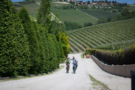 Tenuta Baràc