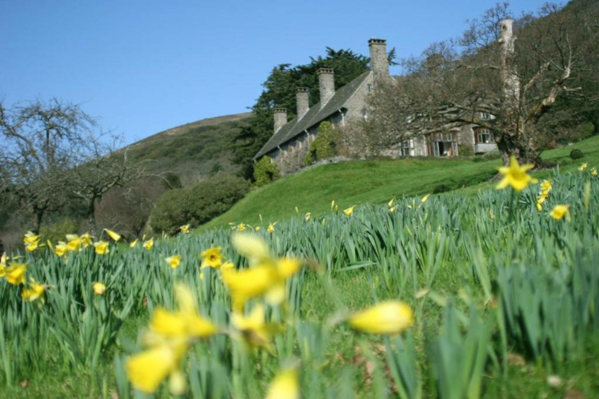 Luxury Bed And Breakfast at Bossington Hall in Exmoor, Somerset