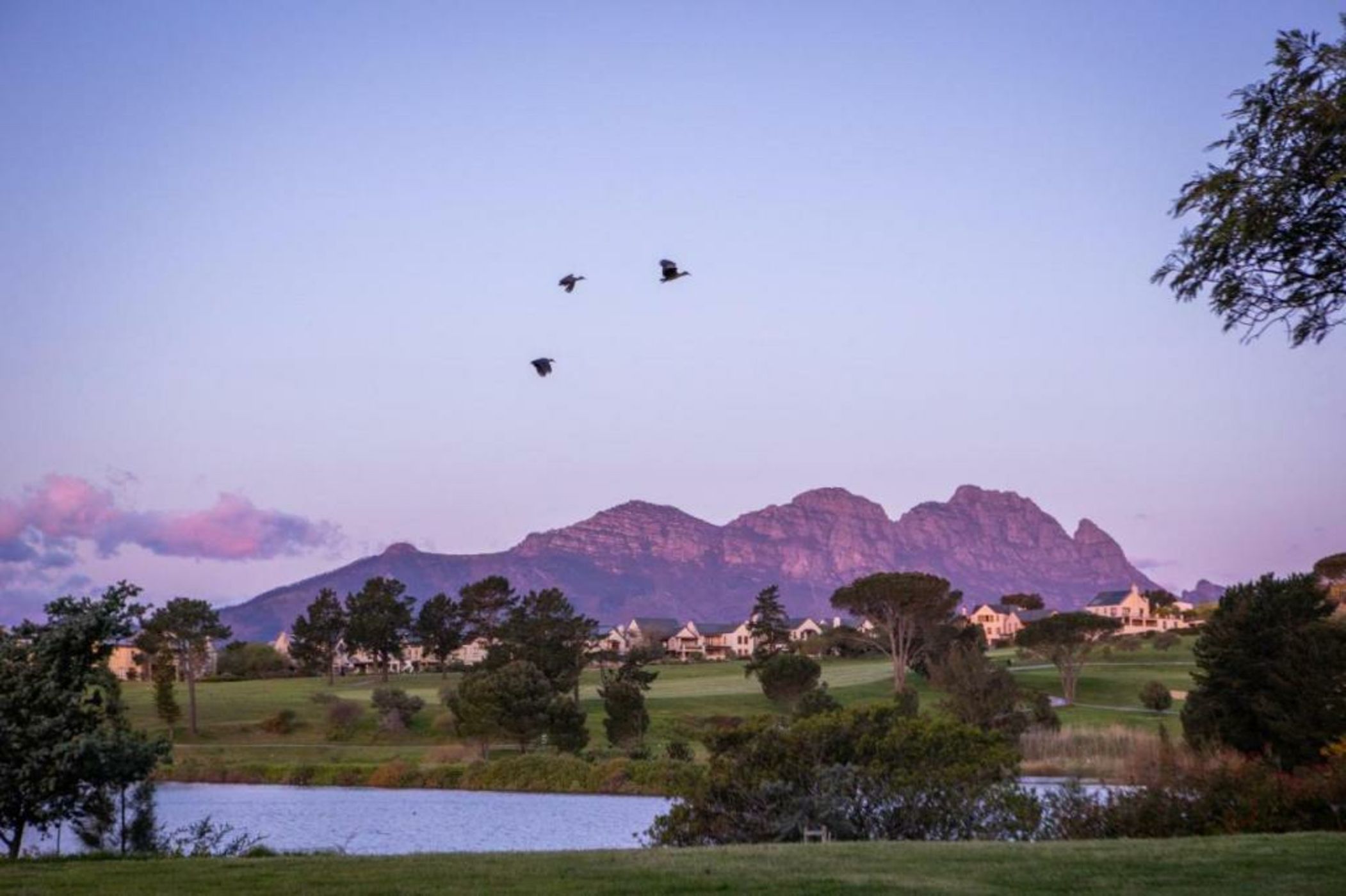 Devonvale Golf & Wine Estate