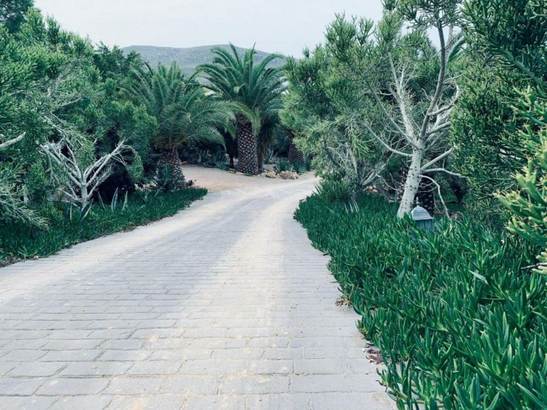 La Almendra y El Gitano
