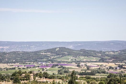 Le Clos Du Buis