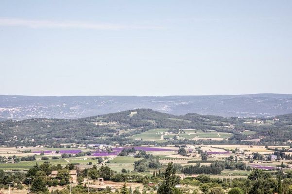 Le Clos Du Buis
