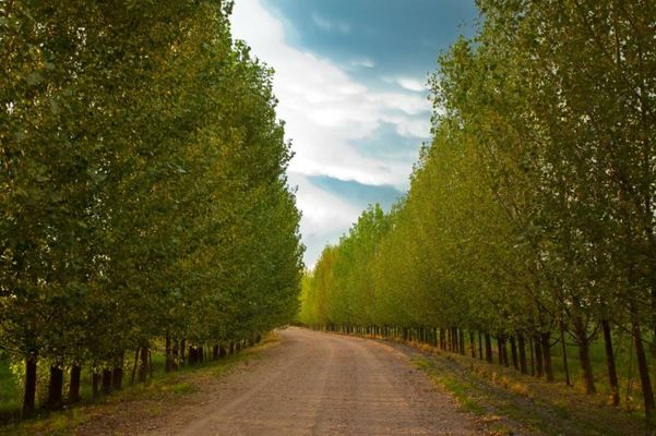 Algodon Wine Estates & Champions Club