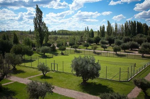 Algodon Wine Estates & Champions Club