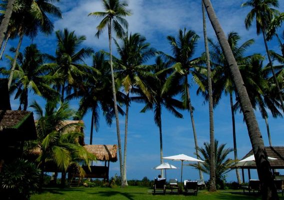 Bon Ton Antique Wooden Villas