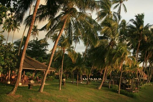 Bon Ton Antique Wooden Villas