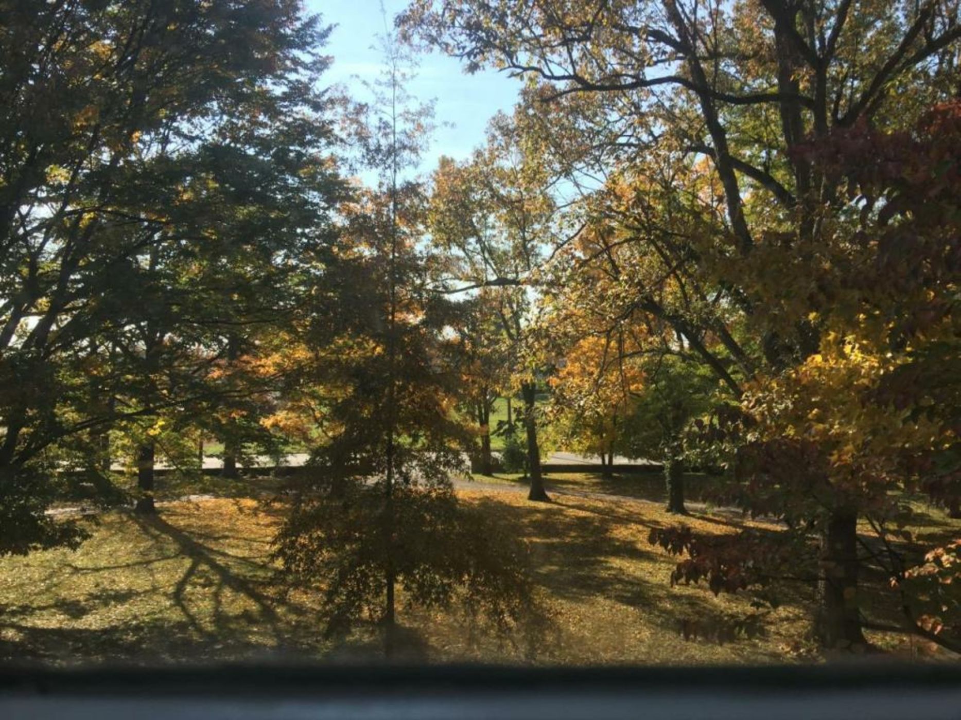 Charred Oaks Inn