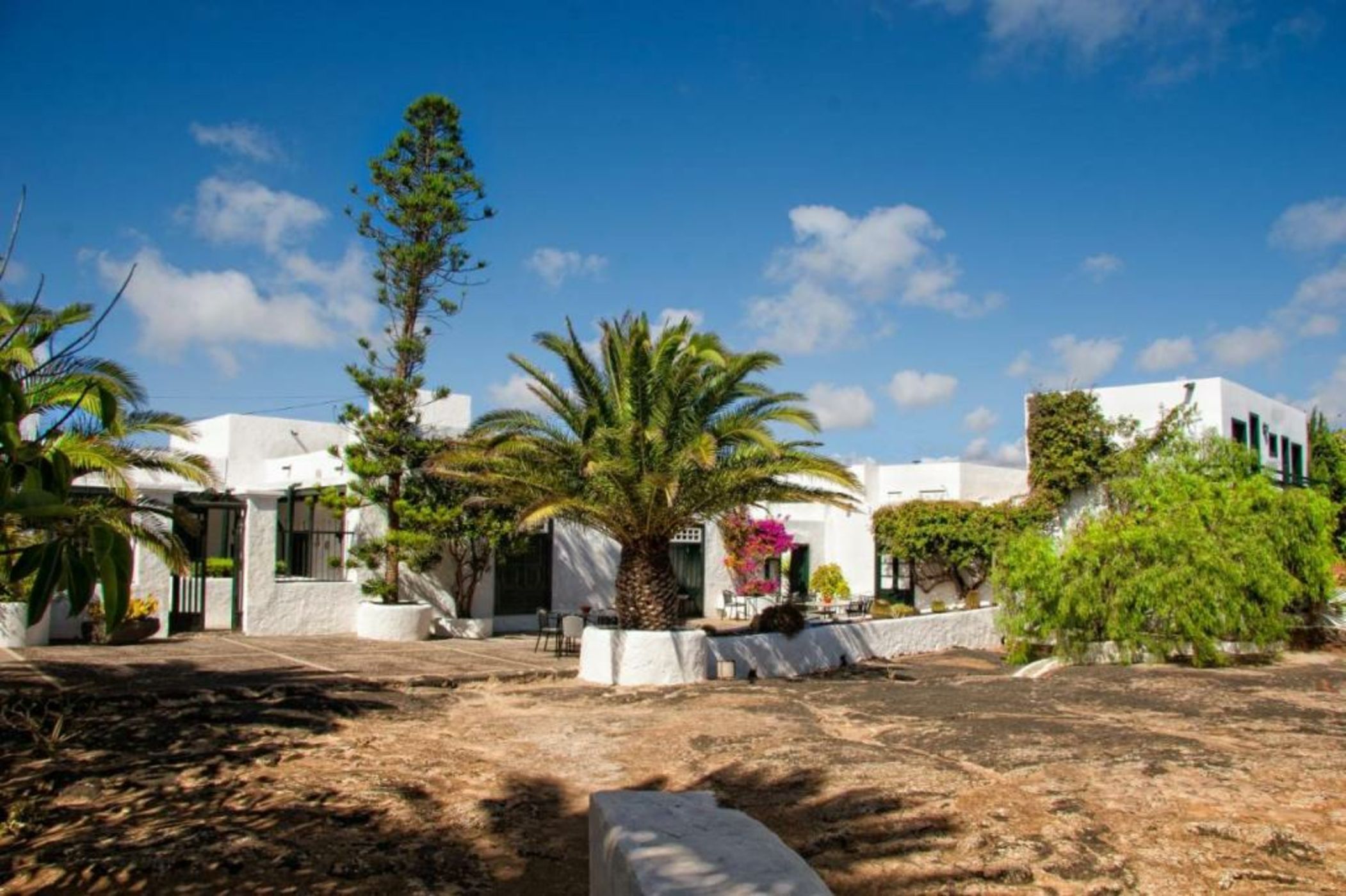 Hotel EL GRIFO