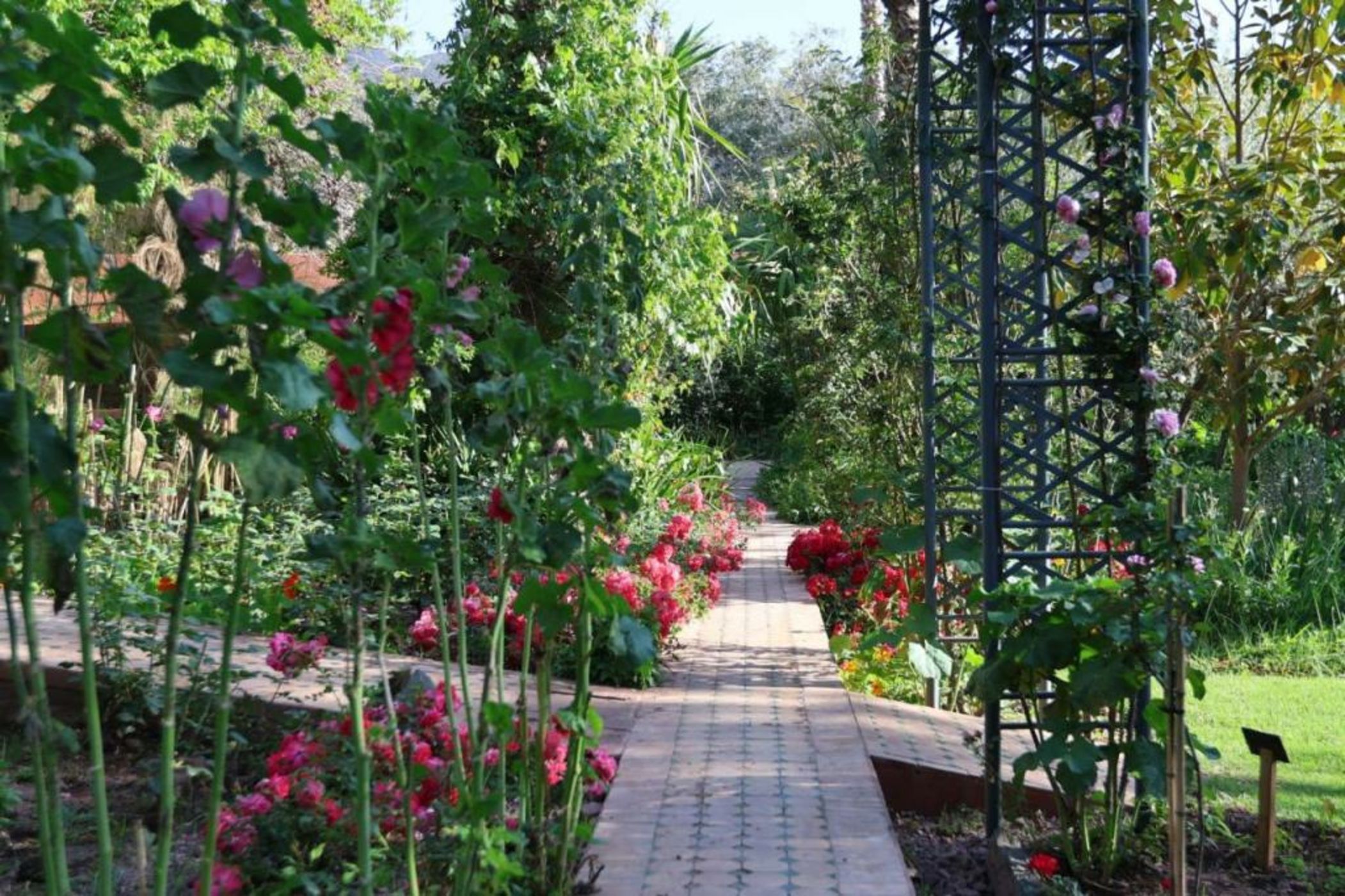 Domaine de la Roseraie Resort