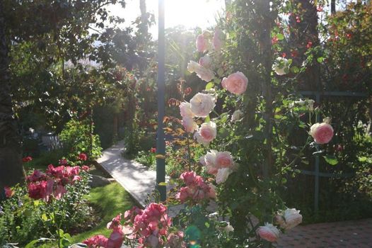 Domaine de la Roseraie Resort