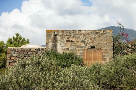 Tenuta Borgia