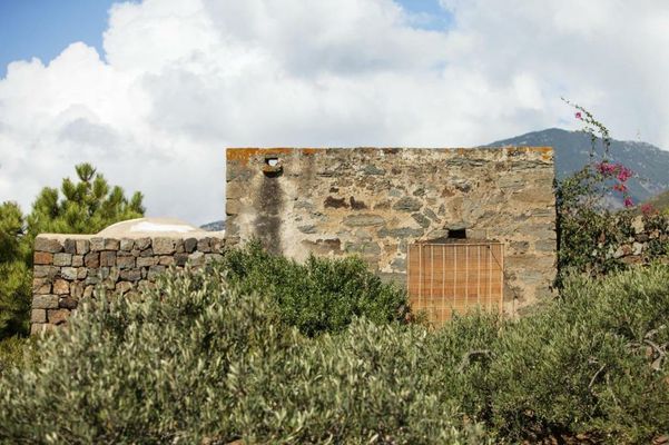 Tenuta Borgia