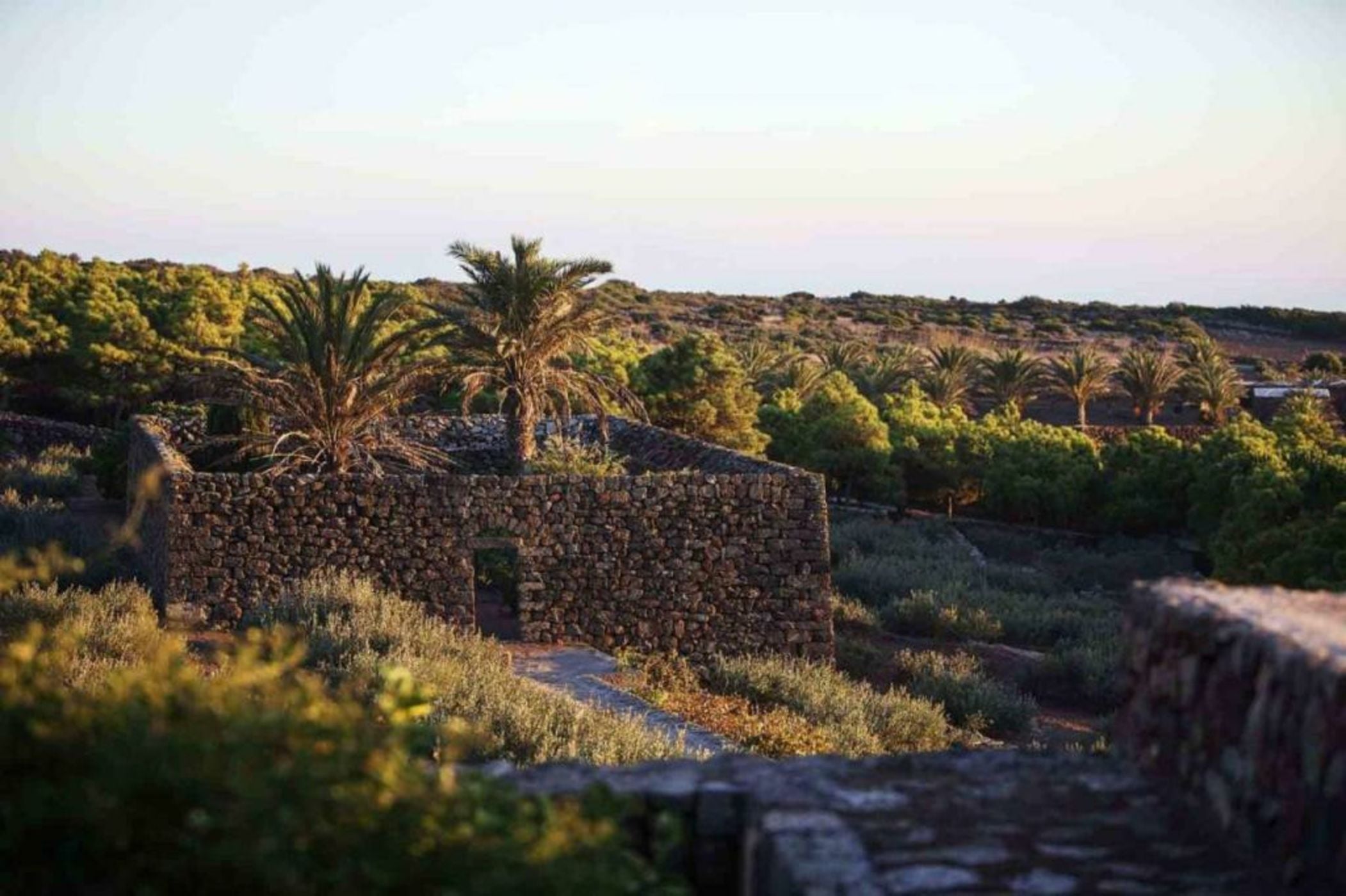 Tenuta Borgia